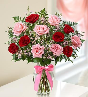 Shades of Pink and Red™ Premium Long Stem Roses