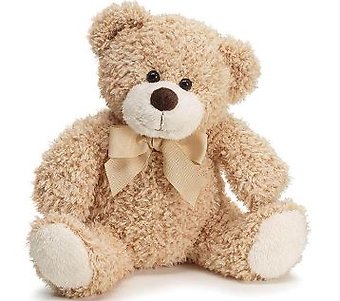 Bailey Bear