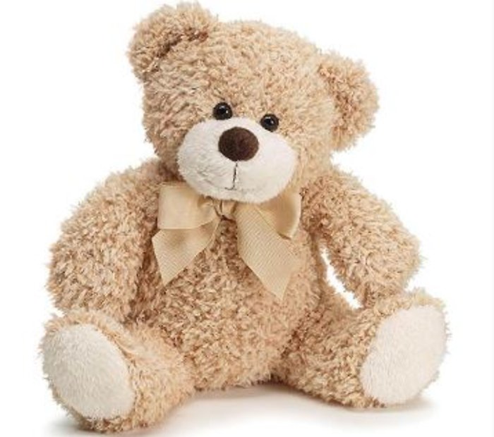 Bailey Bear