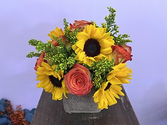Modern Enchantment&trade; for Fall