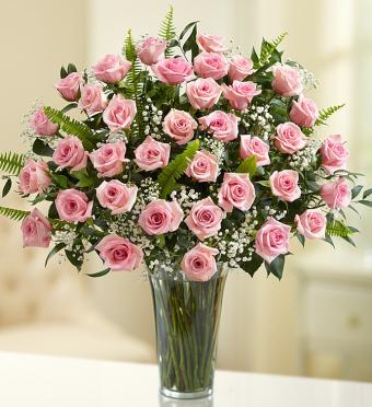 3 Dozen Long Stem Pink Roses
