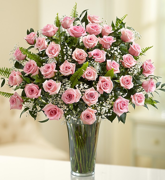 3 Dozen Long Stem Pink Roses