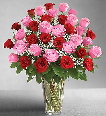 Ultimate Eleganceâ?¢ Long Stem Pink & Red Roses