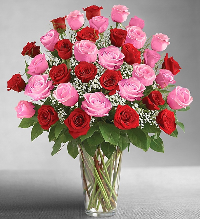 2, 3, or 4 Dozen Pink & Red Roses