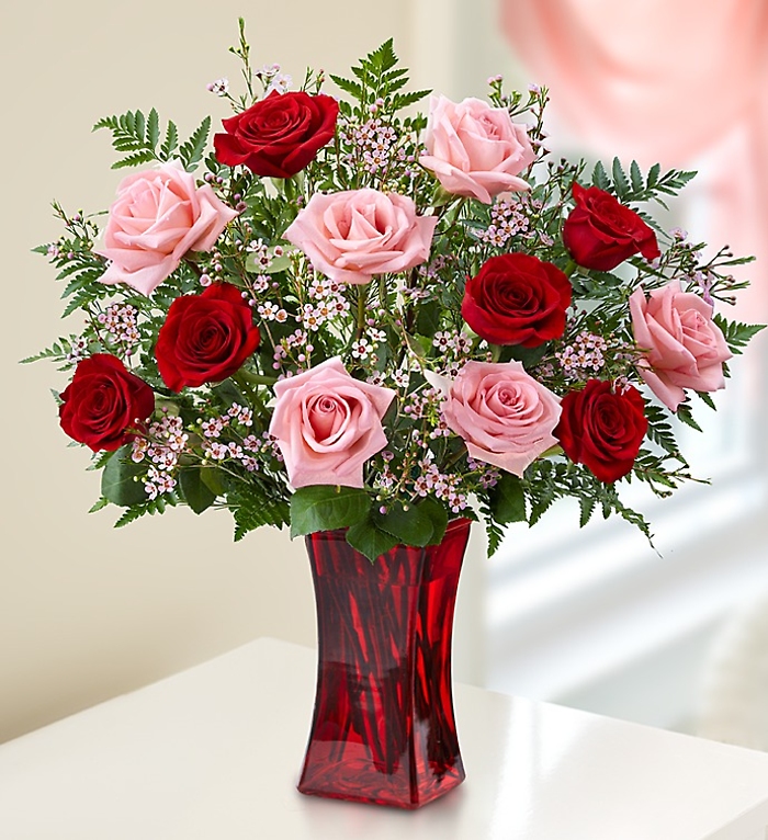 1 Dozen Pink and Red Rose Mix