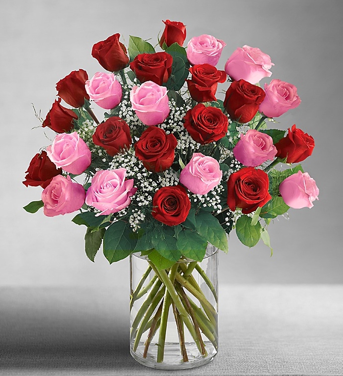 2, 3, or 4 Dozen Pink & Red Roses