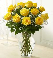 1 Dozen Long Stem Yellow Roses