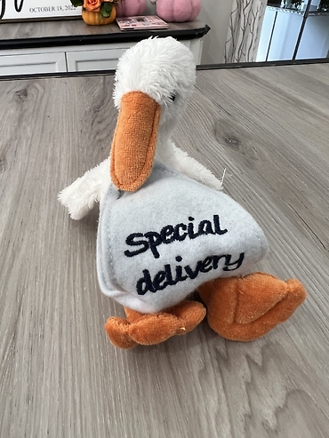 Special Delivery Stork