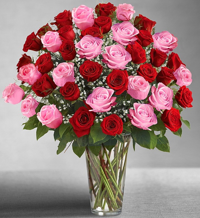 2, 3, or 4 Dozen Pink & Red Roses