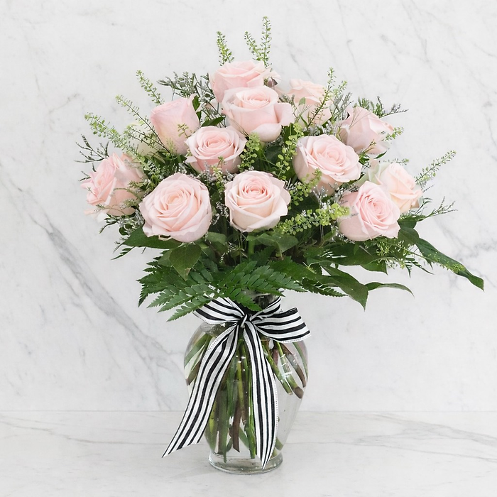 2 Dozen Long Stem Roses - Choose a Color