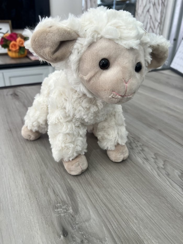 Merino the Lamb