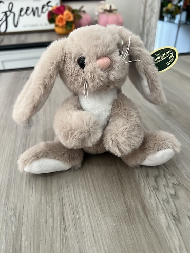 Lil\' Boomer the Bunny
