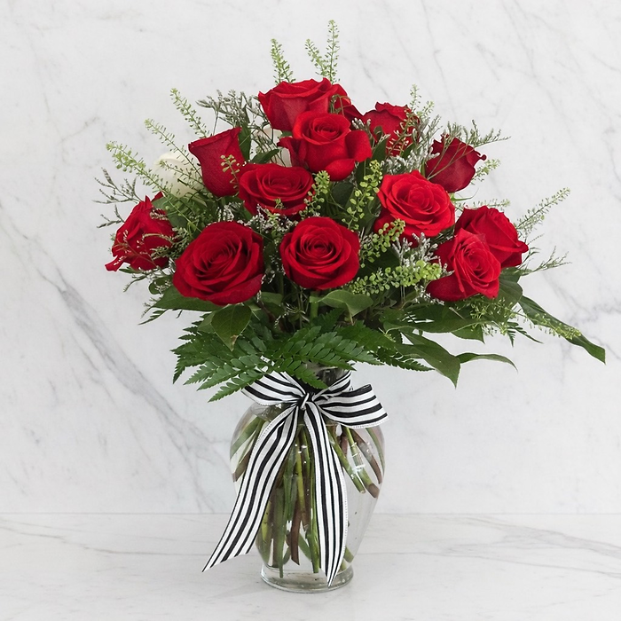 2 Dozen Long Stem Roses - Choose a Color