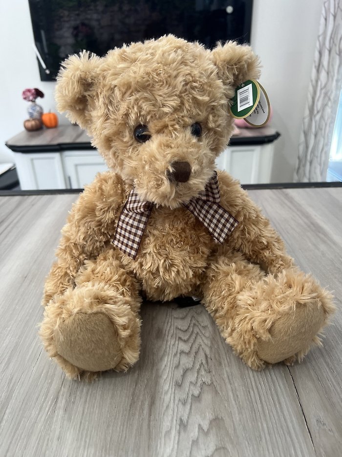 Theodore the Teddy Bear