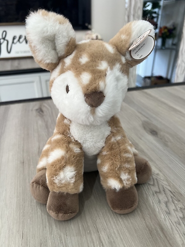 Baby Willow the Fawn