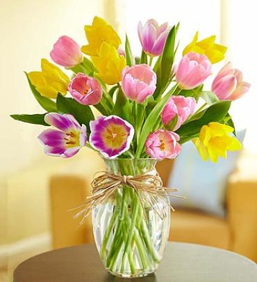 Timeless Tulips®