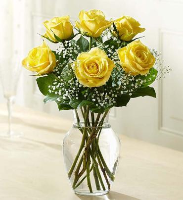Love\'s Embrace? Roses ? Yellow