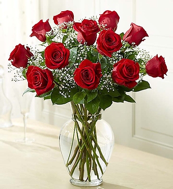 1 Dozen Long Stem Roses - Choose a Color