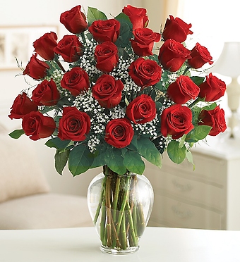 2 Dozen Long Stem Roses - Choose a Color