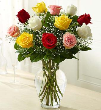 1 Dozen Long Stem Assorted Roses