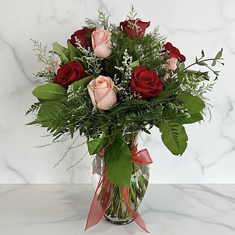 1 Dozen Pink and Red Rose Mix