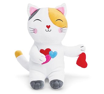 Valentine Cat