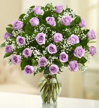 2 Dozen Long Stem Purple Roses